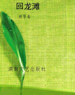 回龙滩