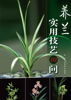 中国古诗翻译的风格再