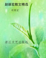 赵丽宏散文精选