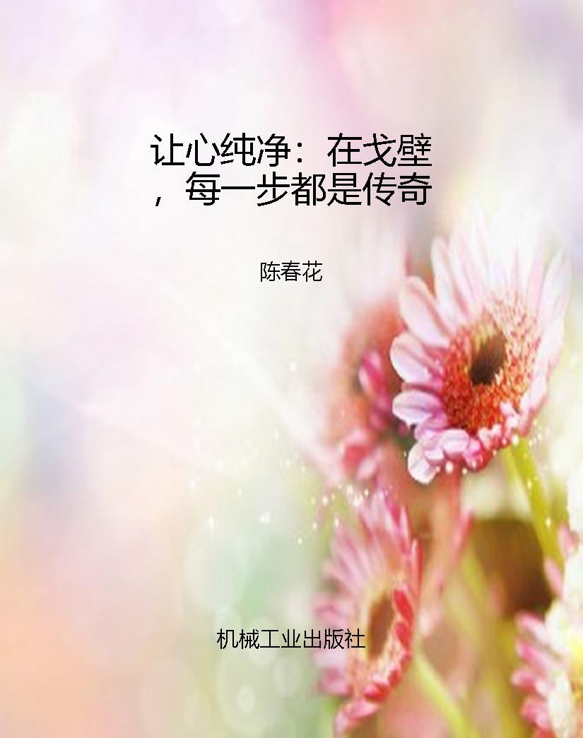 让心纯净：在戈壁，每一步