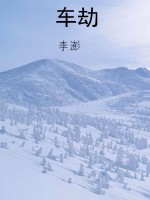 车劫