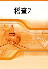 稽查2