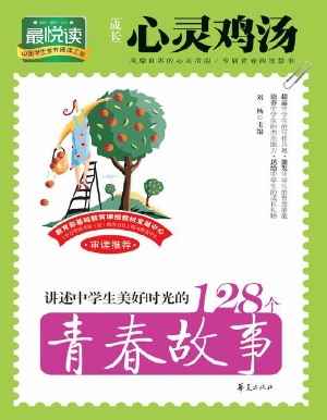 讲述中学生美好时光的