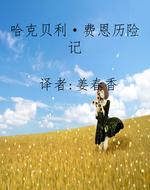 哈克贝利·费恩历险记
