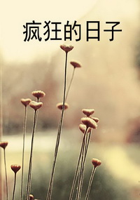 疯狂的日子