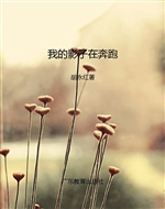 我的影子在奔跑
