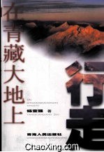 在青藏大地上行走
