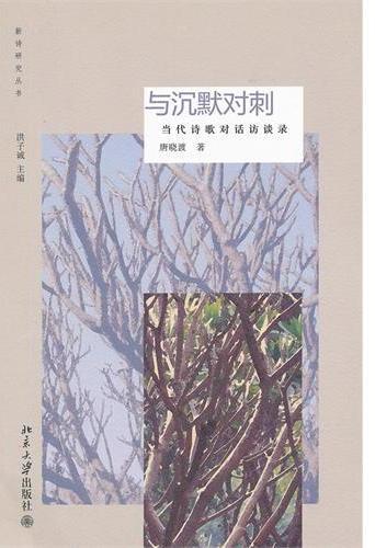 与沉默对刺——当代诗