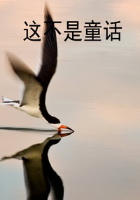 这不是童话