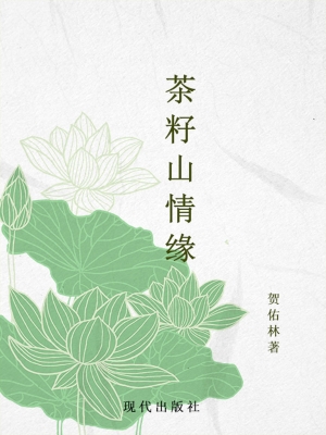 茶籽山情缘