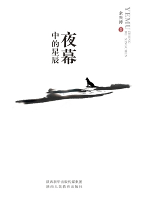 夜幕中的星辰