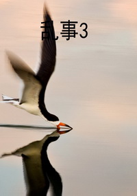 乱事3