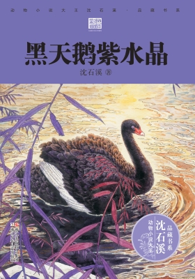 黑天鹅紫水晶