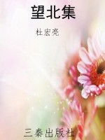 望北集