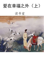 爱在幸福之外（上）