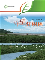 守望红树林（中文版）