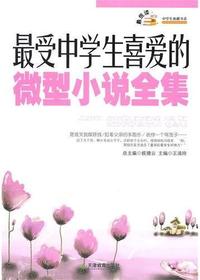 最受中学生喜爱的微型