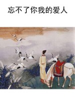 忘不了你我的爱人