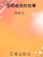 插翅难逃的故事