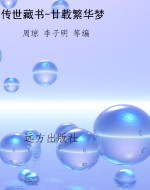 传世藏书-廿载繁华梦