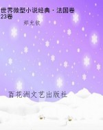世界微型小说经典·法
