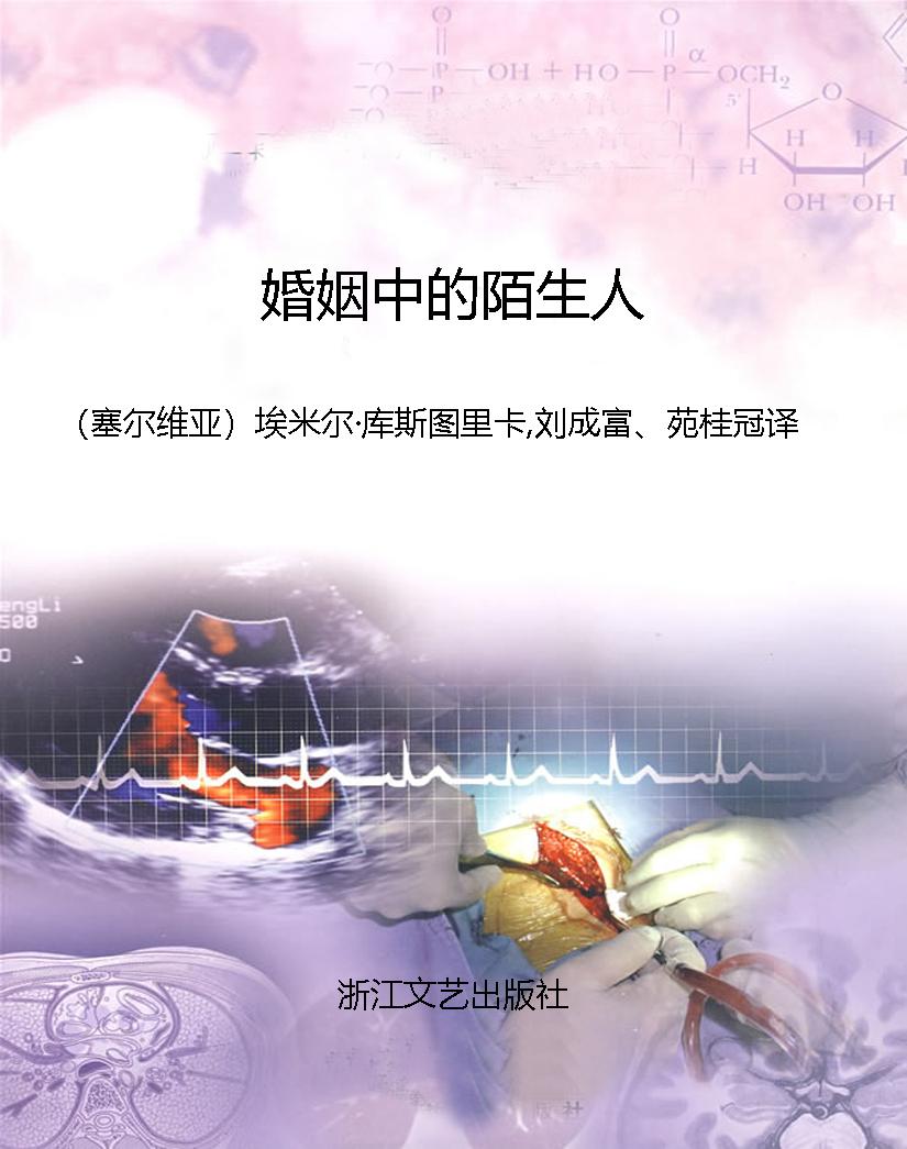 婚姻中的陌生人