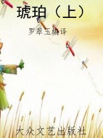 琥珀（上）