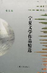 宁夏文学作品精选 散