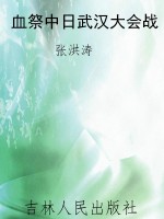 血祭中日武汉大会战