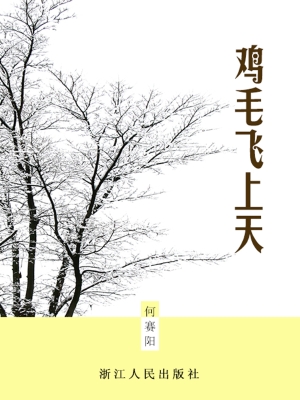 鸡毛飞上天