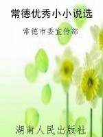 常德优秀小小说选