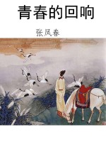 青春的回响