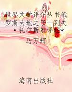世界文学评介丛书俄罗