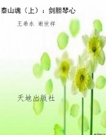 泰山魂（上）：剑胆琴心