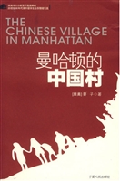 曼哈顿的中国村