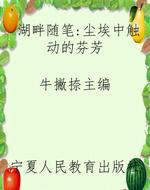 湖畔随笔：尘埃中触动的