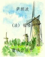 萨朗波