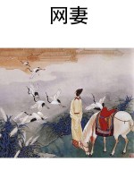 网妻