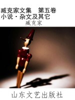 臧克家文集  第五卷  