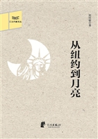从纽约到月亮