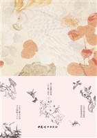 飞鸣灵动——给孩子的
