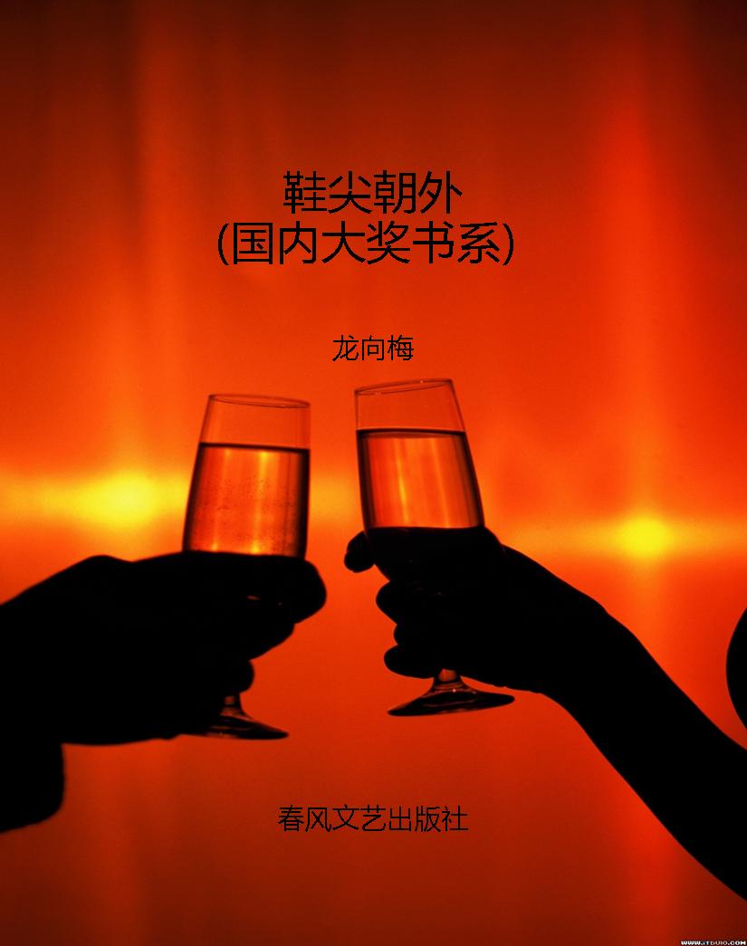 鞋尖朝外（国内大奖书系
