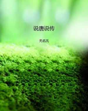 说唐说传