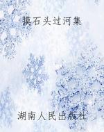 摸石头过河集
