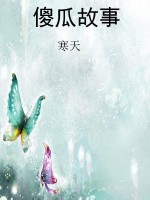 傻瓜故事
