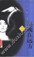 灵魂在远方