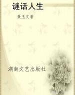 谜话人生