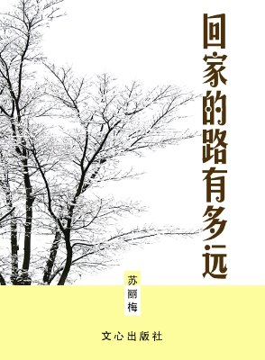 回家的路有多远