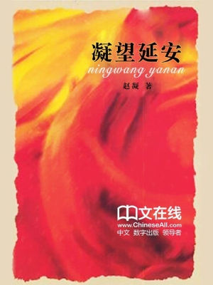 凝望延安