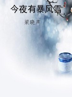 今夜有暴风雪